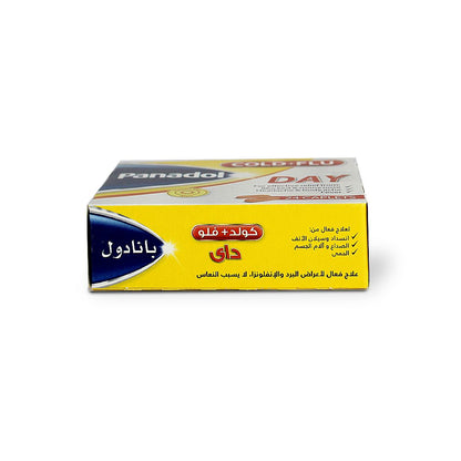 PANADOL COLD & FLU DAY TABLET 24S